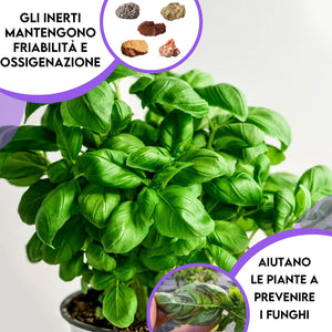 ZOMA Terriccio per Basilico e Piante Aromatiche - Ideale per Vasi, Evita Ristagni Idrici - Terriccio piante aromatiche con Humus di Lombrico, privo di Fertilizzanti Chimici - 15 Kg