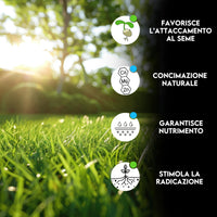 ZOMA Terriccio per Prato di Qualità Superiore, Terriccio prato specifico per la germinazione, con Sabbia, Radinat e Humus di Lombrico - Terra prato Ideale per sementi e prati in zolle - 150KG