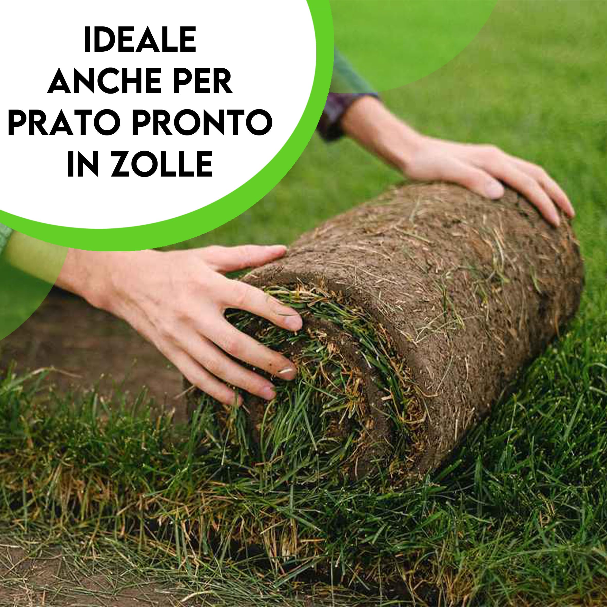 ZOMA Terriccio per Prato di Qualità Superiore, Terriccio prato specifico per la germinazione, con Sabbia, Radinat e Humus di Lombrico - Terra prato Ideale per sementi e prati in zolle - 20 Lt