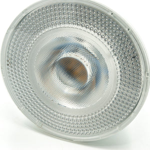 Faretto calpestabile da incasso impermeabile IP65 LED E27 SPOT PAR30 12W angolo luce 40 gradi giardino cortile facciata LUCE FREDDA 6000K