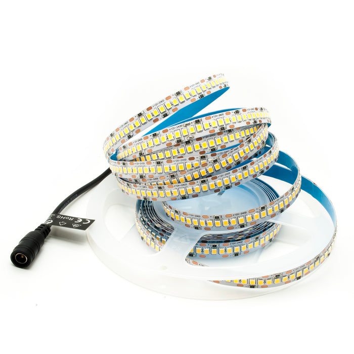 Strip 1200 LED SMD2835 striscia 5Mt alta luminosita dimmerabile DIMMER 90w 12v 240 led/mt 6000K