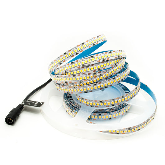 Strip 1200 LED SMD2835 striscia 5Mt alta luminosita dimmerabile DIMMER 90w 12v 240 led/mt 3000K