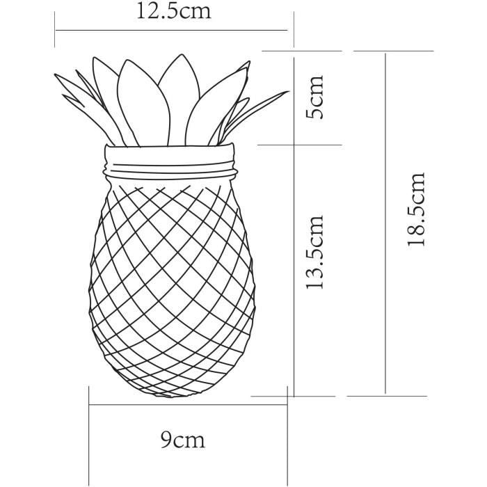 Ananas solare - GALIX