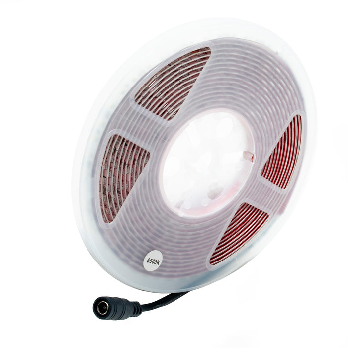 Striscia LED impermeabile 50W alta luminosita 4500lm 12V luci esterno dimmerabile IP55 5mt 3000K