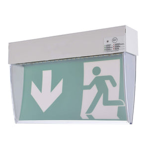 Lampada emergenza LED 3W luce soffitto tabella uscita sicurezza ufficio centri commerciali negozio 230V IP54