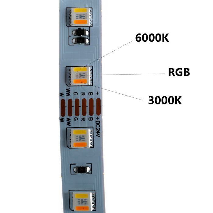KIT Striscia LED 100W 24V luce multicolore RGB CCT da 3000K-6000K centralina WiFi SMART Alexa GoogleAPP sound control 5m