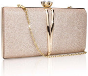 Borsa da sera per donna piccola clutch per sposa champagne piccola borsa a spalla con cinturino rimovibile borsa elegante da crossbody tasca da sera per matrimonio e festa