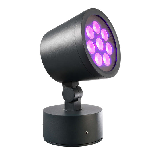 COLT faretto LED 25W RGB luce colorata faro 24V IP65 luce SPOT 20 gradi esterni giardino facciate monumenti RGBW+3000K