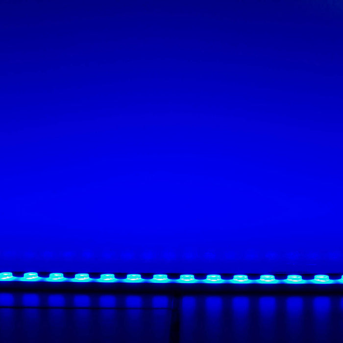 Wall Washer flessibile LED 40W strip multicolore RGB IP67 24V striscia ottica colorata bobina 5 mt angolo LUCE 10 GRADI