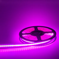 KIT SMART striscia 4200 LED 125W luce interni 24V RGB multicolore CCT da 3000K a 6000K centralina WiF Alexa