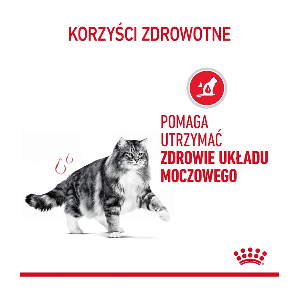 Cibo secco per gatti Royal Canin Urinary Care 10 kg