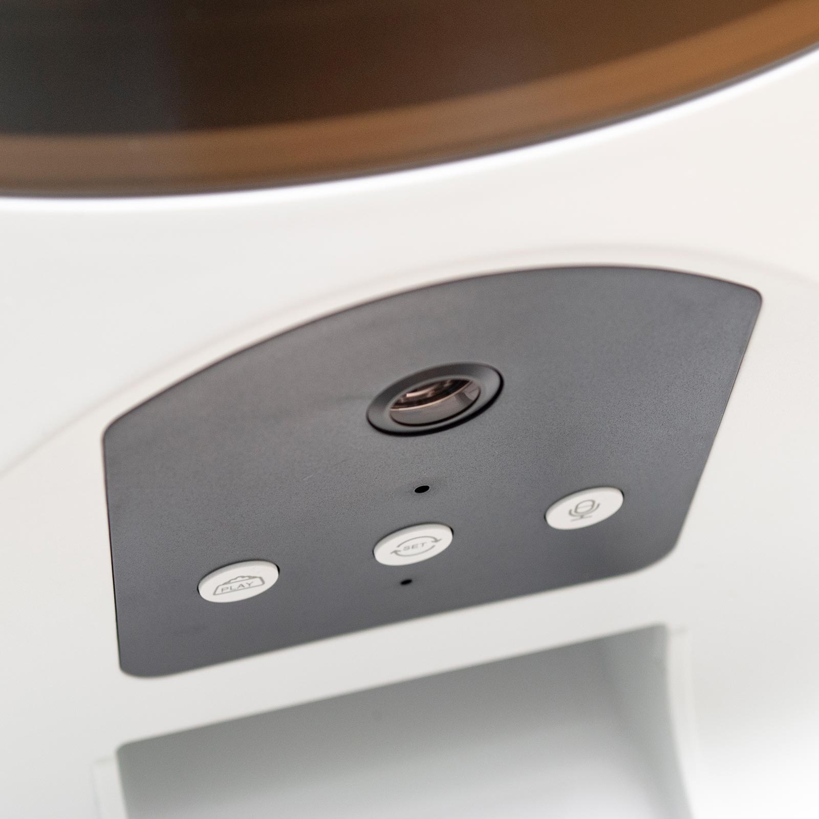 Erogatore dispenser distributore automatico cibo SMART WiFi per animali cani gatti controllo remoto da APP telecamera HD