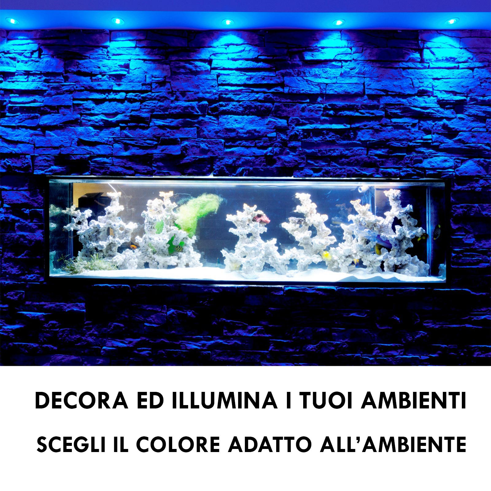 Faretto spot incasso multicolore dimmerabile LED 8W RGBW RGB 3000K DMX 24V tondo orientabile cromoterapia interni luce colorata soffitto BIANCO