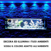 Faretto spot incasso multicolore dimmerabile LED 8W RGBW RGB 3000K DMX 24V tondo orientabile cromoterapia interni luce colorata soffitto BIANCO