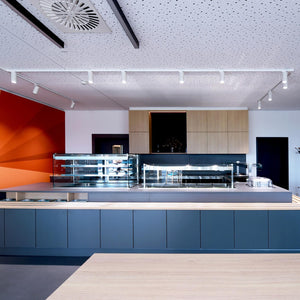 Faretto binario trifase LED 30W proiettore track orientabile luce spot mirata 40 gradi illuminazione vetrine galleria arte BIANCO 4000K