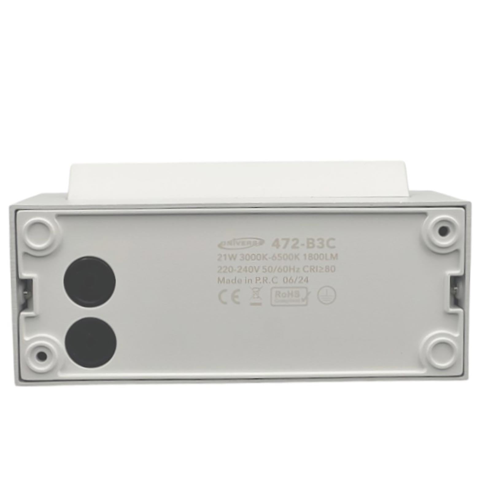 Applique da parete per esterno LED 21W IP65 interruttore CCT da 3000K a 6500K diffusore vetro orientabile luce giardino balcone ingresso 230V BIANCO