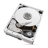 Seagate IronWolf Pro - Hard disk interno da 10 TB, 256 MB, 3.5" Serial ATA III (ST10000NT001)