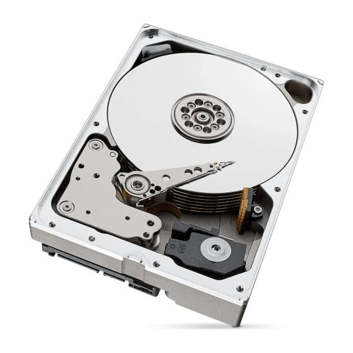 Seagate IronWolf Pro - Hard disk interno da 10 TB, 256 MB, 3.5" Serial ATA III (ST10000NT001)