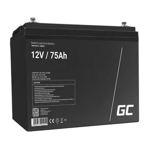Batteria UPS al piombo sigillata Green Cell AGM25 (VRLA) 12 V 75 Ah