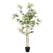 Albero di Bamb¨´ Verde 55 x 16 x 150 cm Tessuto e Bamb¨´ CFW9972308
