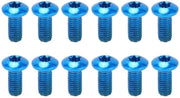 Remschijf Schroeven 12 Stuks - Acciaio Gelegeato M5x10mm - Leggero - Adatto per Biciclette da Mountain Bike/Felce - Facile da Installare - Parti di Ricambio - Viti per Bicicletta