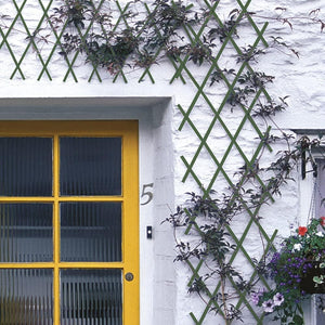 TRALICCIO ESTENSIBILE 1X3M VERDE IN PLASTICA