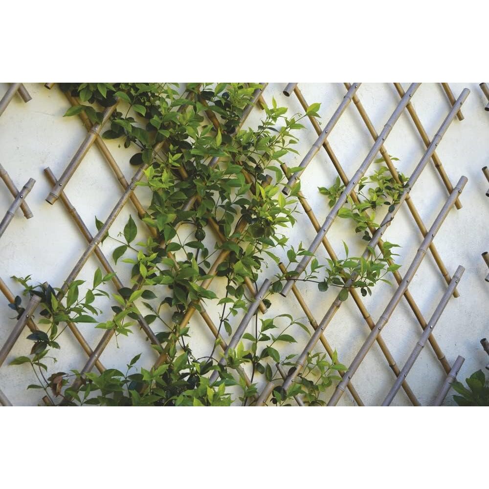 TRALICCIO ESTENSIBILE 150X180CM IN BAMBOO NATURALE
