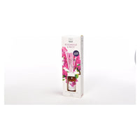 DIFFUSORE BACCHETTI 125ML BOUGANVILLE E TALCO