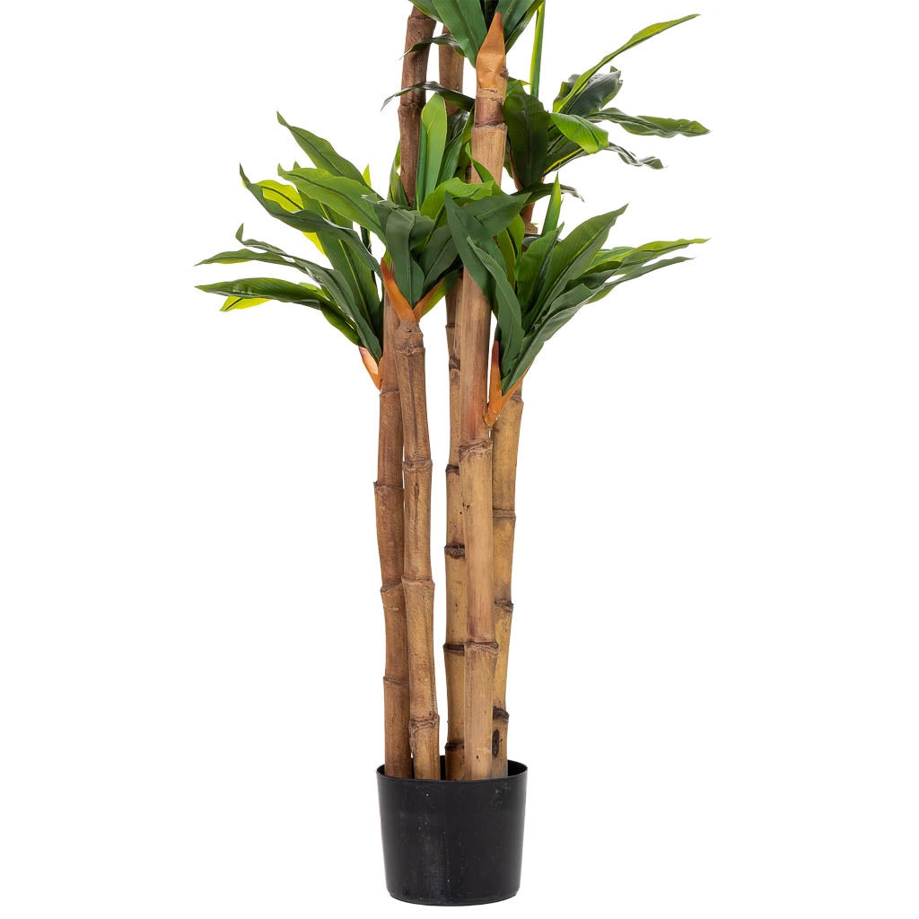 Pianta di dracena artificiale decorativa in vaso 40x30x150h cm