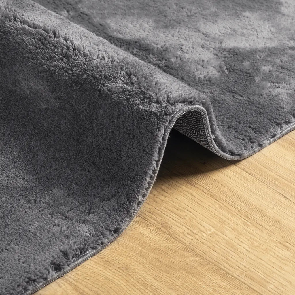 Tappeto Pelo Corto HUARTE Morbido Lavabile Antracite 100x200 cm 374998
