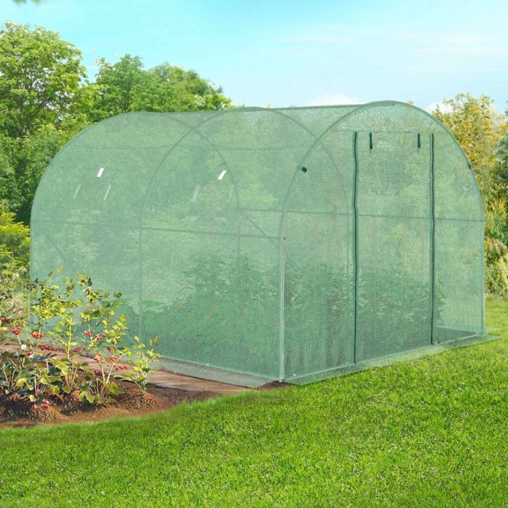 IDMarket - Serra tunnel di giardinario 6m²  verde 4 stagioni ZEBRA 2x3M