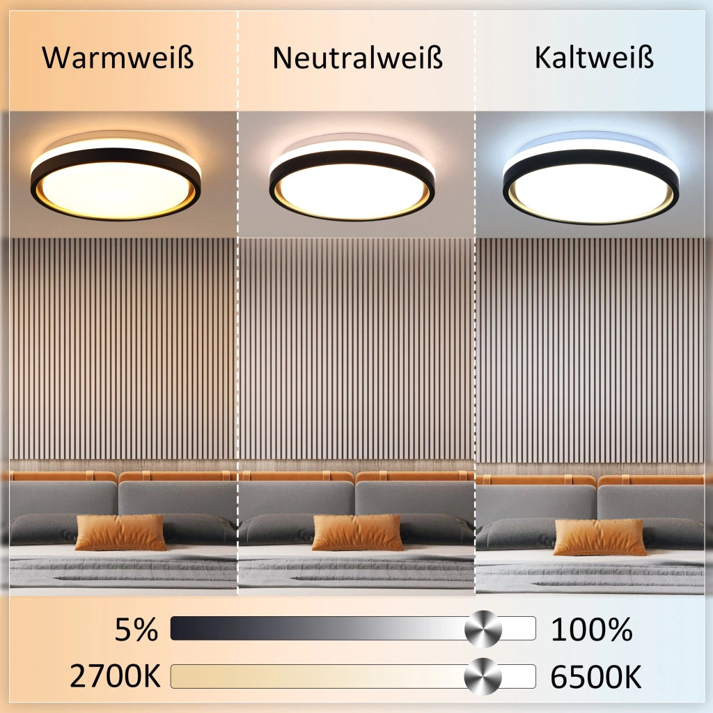ZMH Lampada da soffitto plafoniera LED dimmerabile telecomando moderna 30 cm per soggiorno corridoio