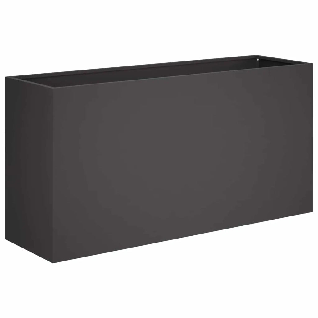 Vaso da giardino Nero 100 x 30 x 50 cm 8005624