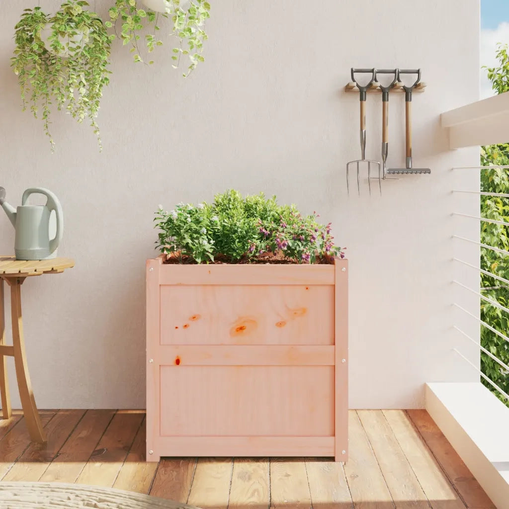 Fioriera da Giardino-Vaso da Esterno 60x60x60 cm in Legno Massello Di Douglas