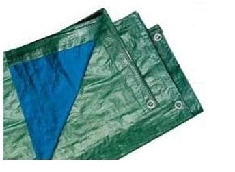 TELONE OCCHIELL. GR.200 PESANTE MT. 6X10BLU/VERDE