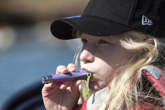 Opinel N°07 Camper/scout Viola