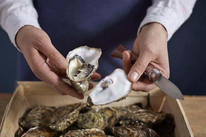 Opinel N°09 Sunfish Rosso