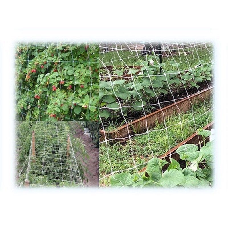 Reti Ortofrutta In Nylon Sostengreen