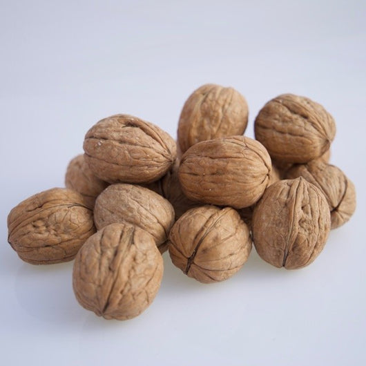 Pianta di Noce CHANDLER innestata  h 180 cm in vaso