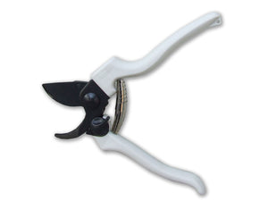 Ausonia 31145 Forbice Vigna 19cm Teflon