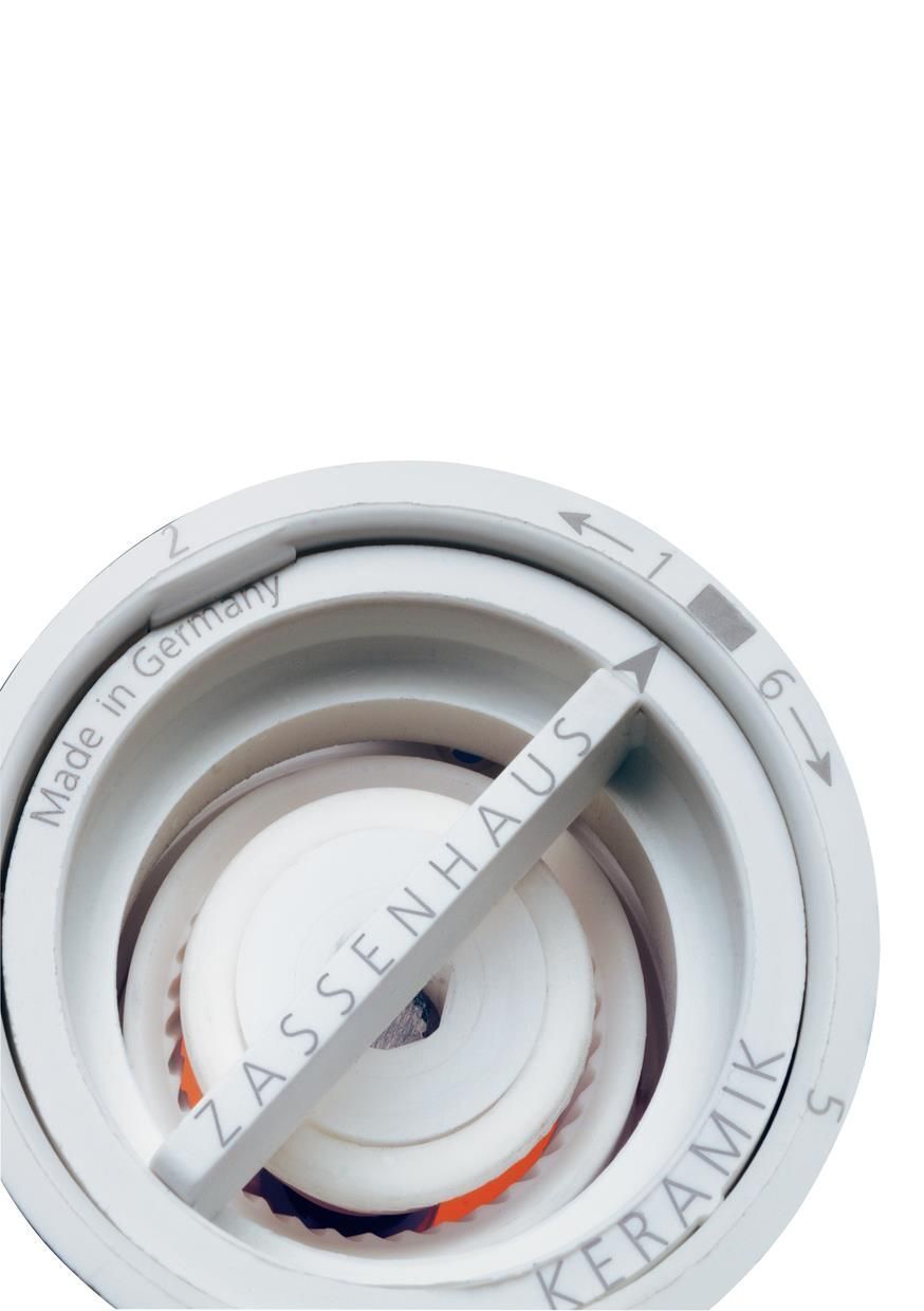 Zassenhaus Aachen Macinasale Acciaio inox