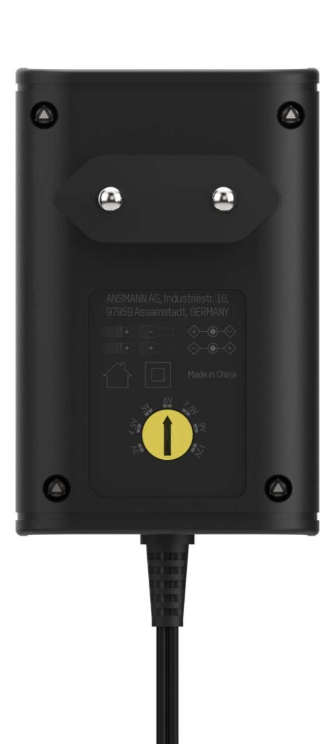Ansmann 1201-0023 adattatore e invertitore Interno 12 W Nero