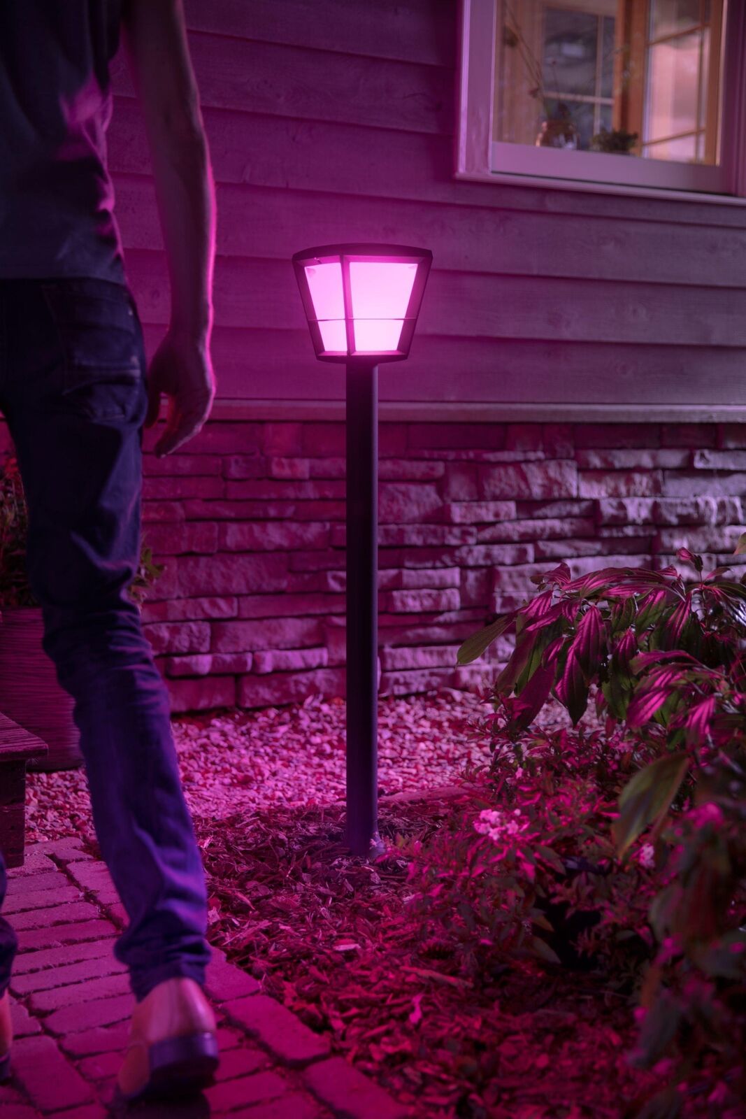 Philips Hue White and Color ambiance Econic Palo Smart Basso Nero