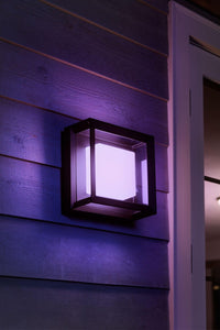 Philips Hue White and Color ambiance Econic Lampada Smart da parete/soffitto Nero