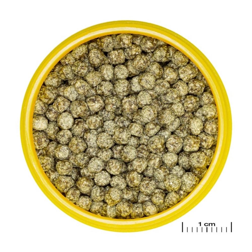JBL ProNovo Red Grano M - Mangime base in granuli per tutti i pesci rossi da 8 a 20cm Formato: 100 ml