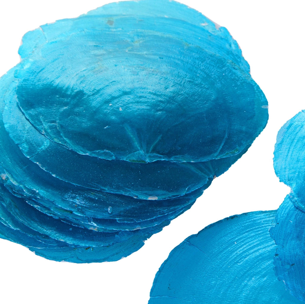 Set 4 Conchiglie Camar Capiz Colorata 250 gr