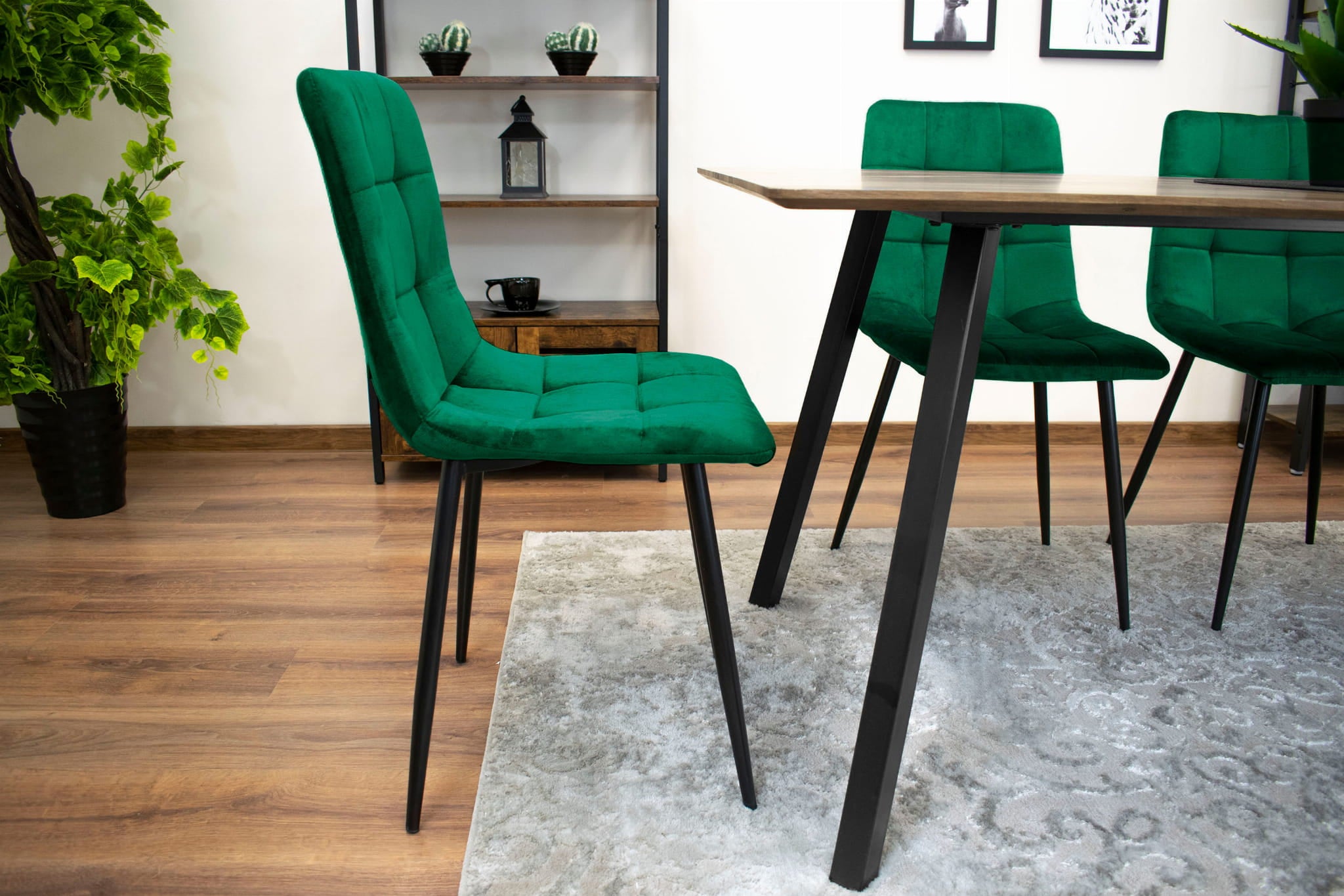 Sedia Valora PYRA in velluto verde scuro, design moderno x3