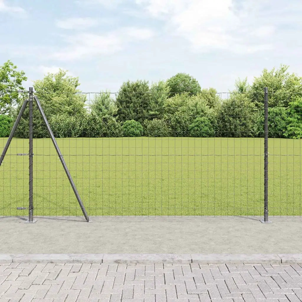 Recinzione con Posto Grigio 1,2 x 25 m Acciaio