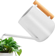 Giocatore da 1 litro per piante da appartamento in acciaio inossidabile con maniglia in legno - lunga canna per piante grasso - orto e giardino
