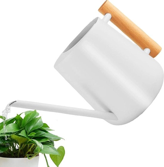 Giocatore da 1 litro per piante da appartamento in acciaio inossidabile con maniglia in legno - lunga canna per piante grasso - orto e giardino